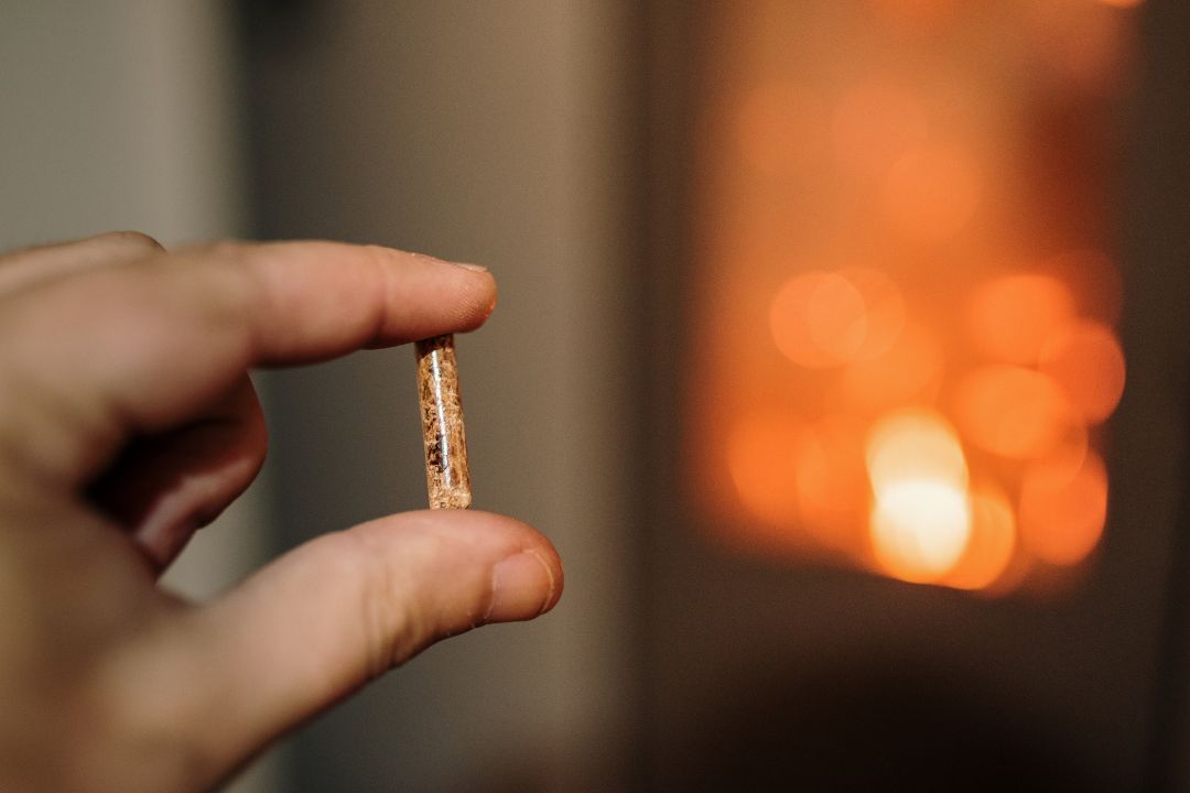 Pellet w dłoni